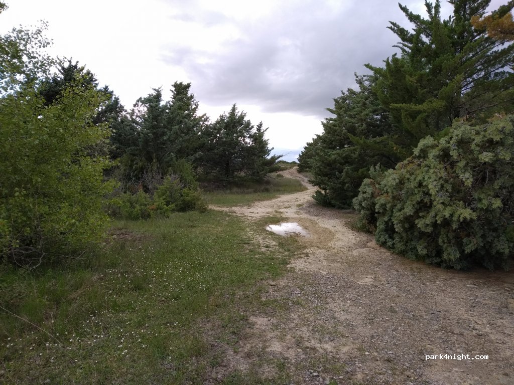 (22283) Alcalá de Gurrea - Unnamed Road — foto