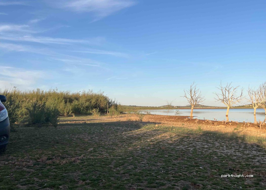 (13300) Valdepeñas - Unnamed Road — foto 5