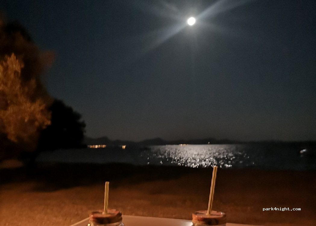 (07400) Alcúdia - 93A Camí d'Alcanada — foto
