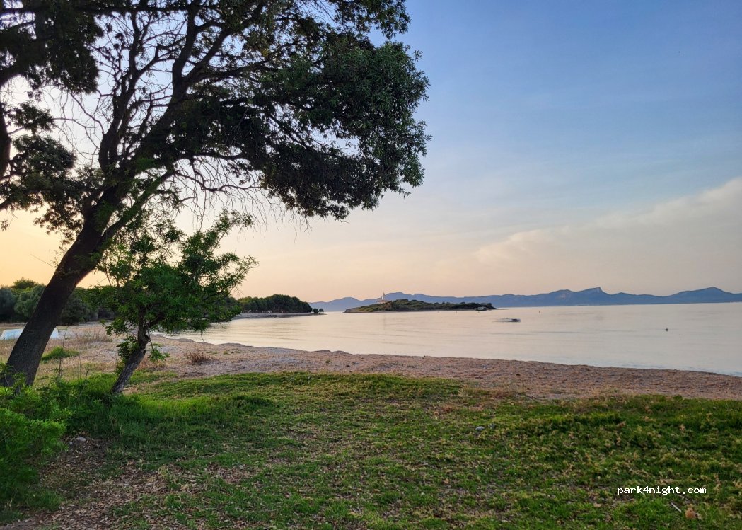 (07400) Alcúdia - 93A Camí d'Alcanada — foto 4
