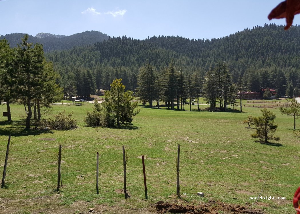 Başkonuş Yaylası — foto 4