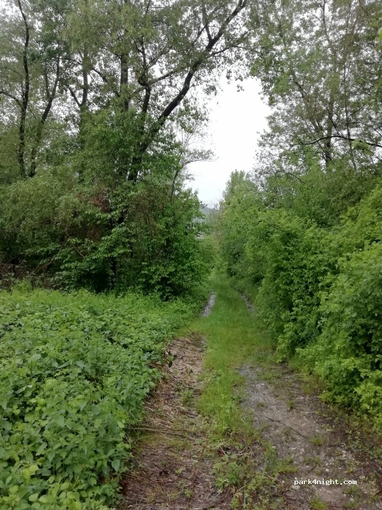 (3327) Šmartno ob Paki - 175 Letuš — foto 3