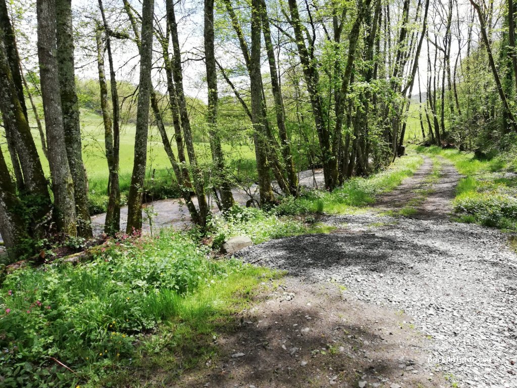 (15240) Sauvat - Le Moulin — foto 3