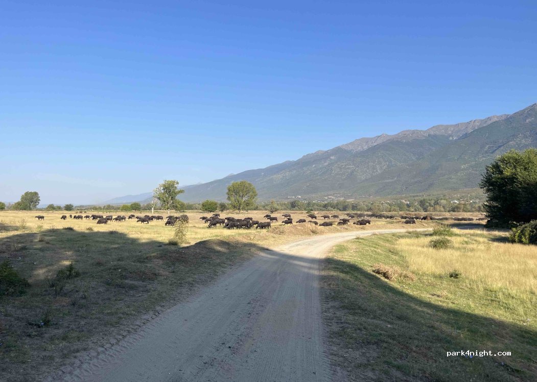 (620 43) Megalochori - Unnamed Road — foto 4