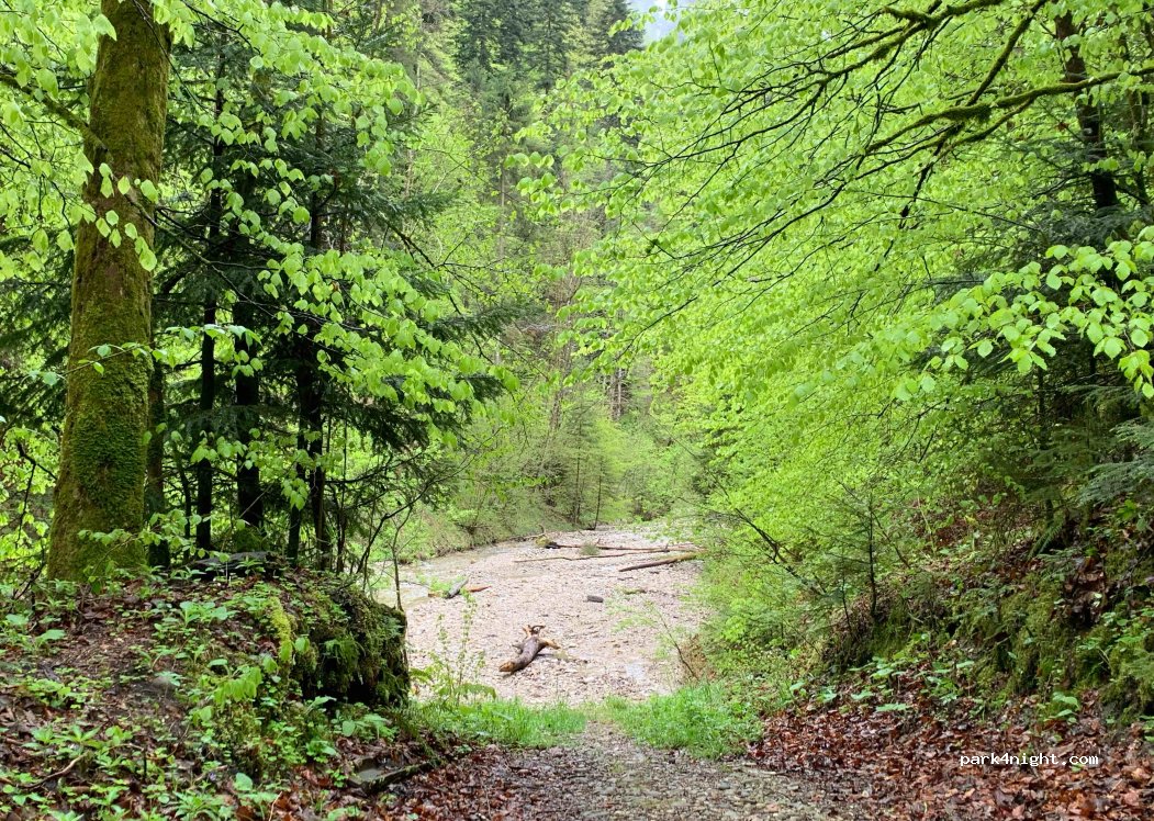 (6110) Menznau - Ahornebode — foto 2