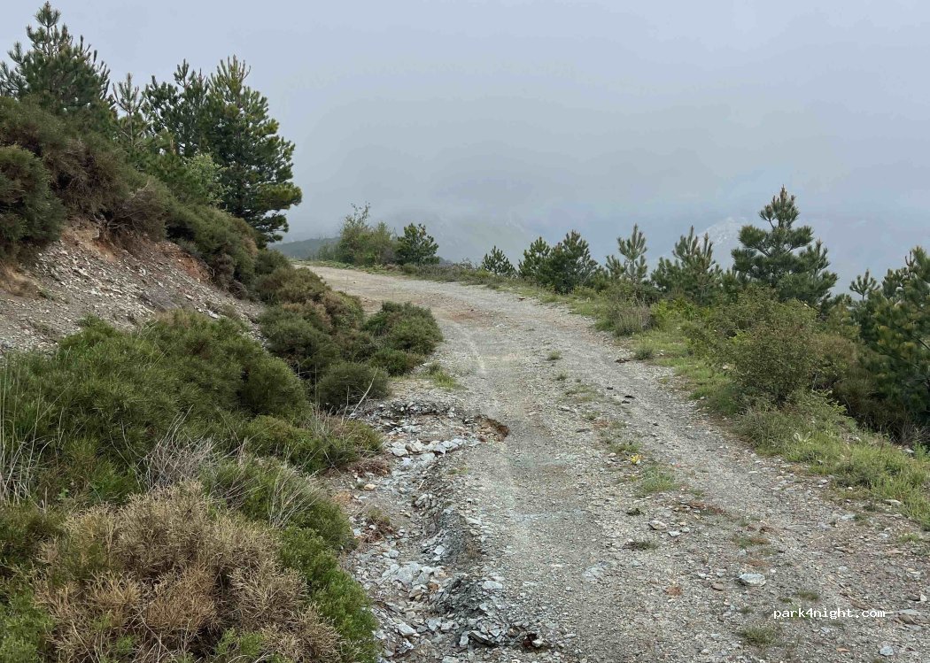 (241 00) Kalamata - Ethniki Odos Kalamatas Spartis — foto 4