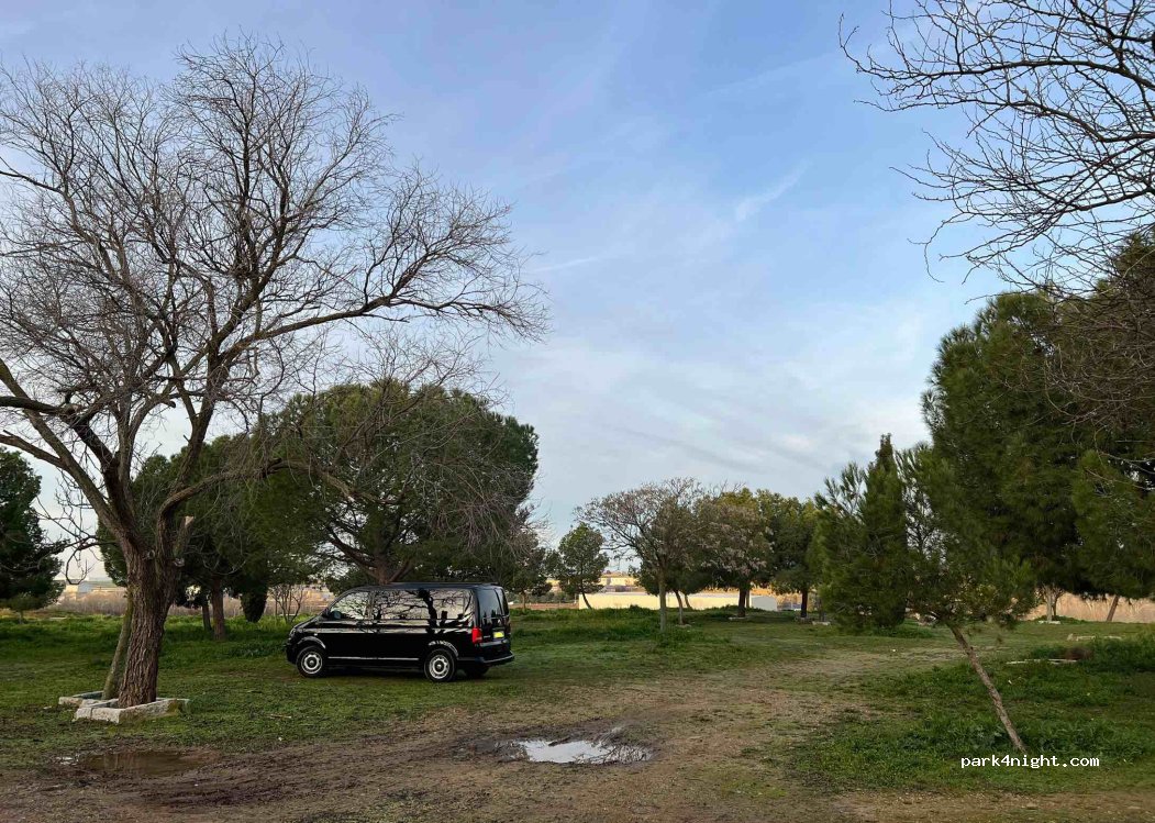(28816) Camarma de Esteruelas - Vereda de Camarma al Puente de Zulema — foto 4
