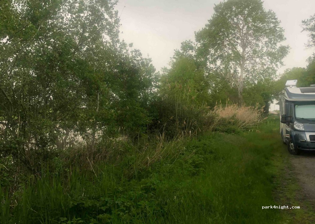 (03160) Couleuvre - D234 — foto 3