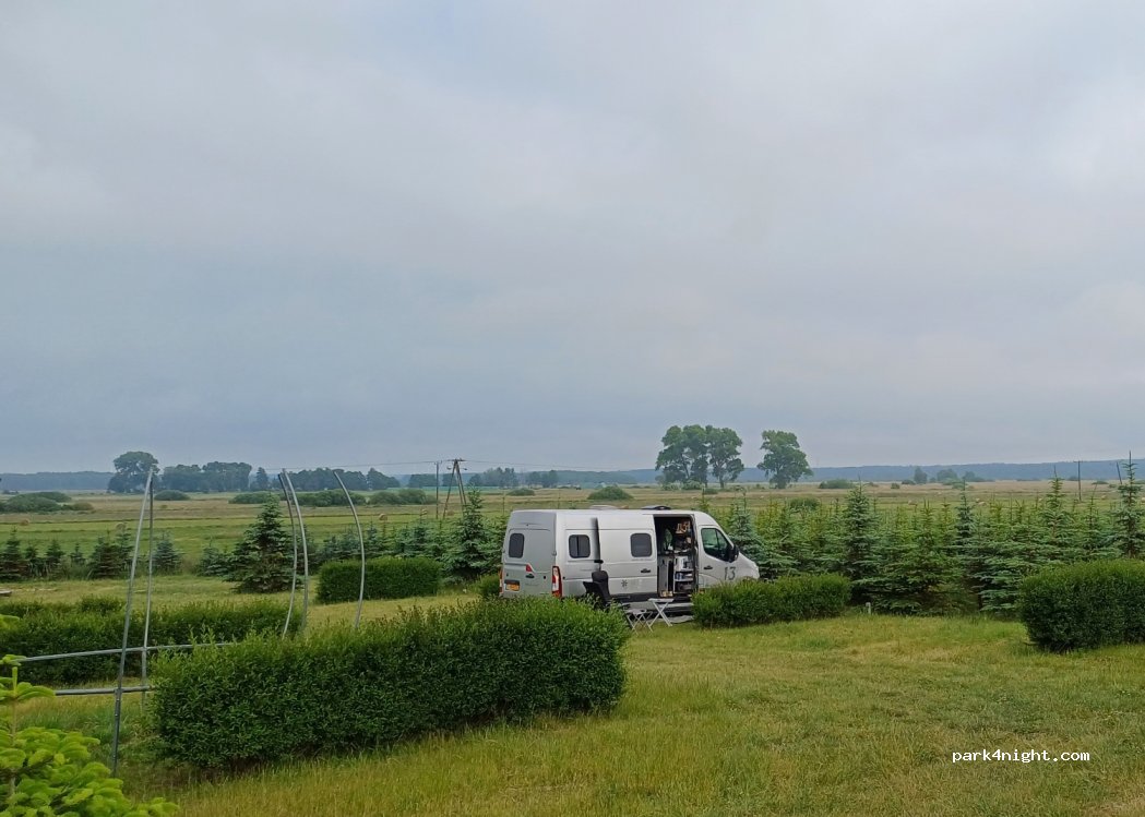 Siedlisko Natura camping — foto 4