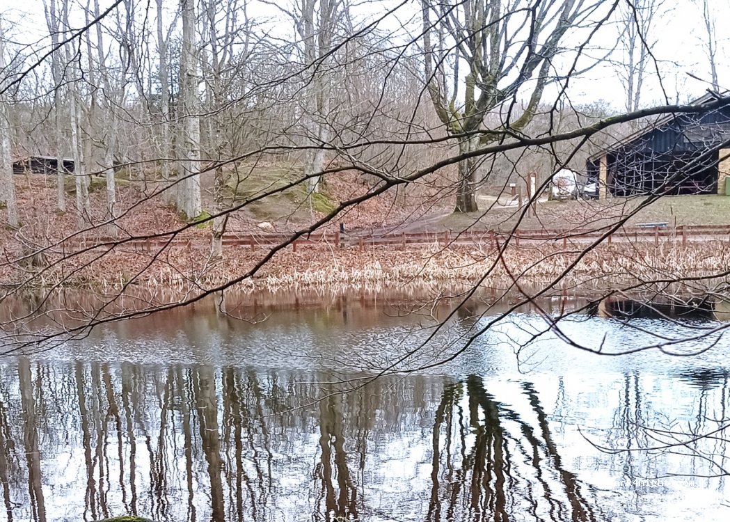 (9740) Jerslev Sogn - 144 Håndsbækvej — foto 3