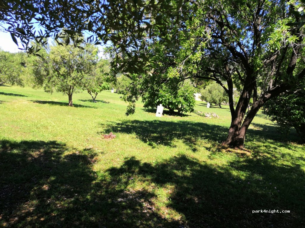 Kemp Plaža  campsite — foto 2