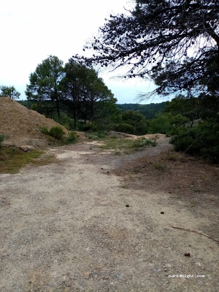 (11220) Ribaute - D212 — foto