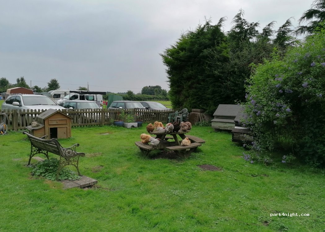 The Golden Swan campsite — foto