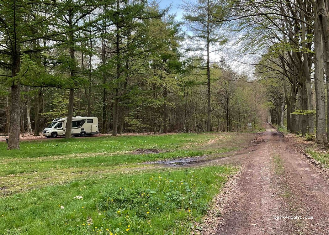 (7963) Ruinen - Unnamed Road — foto 2