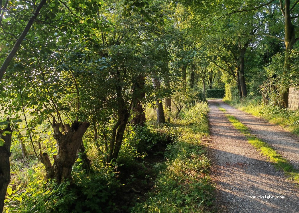 Camping Landgoed de Gortmeule — foto 3