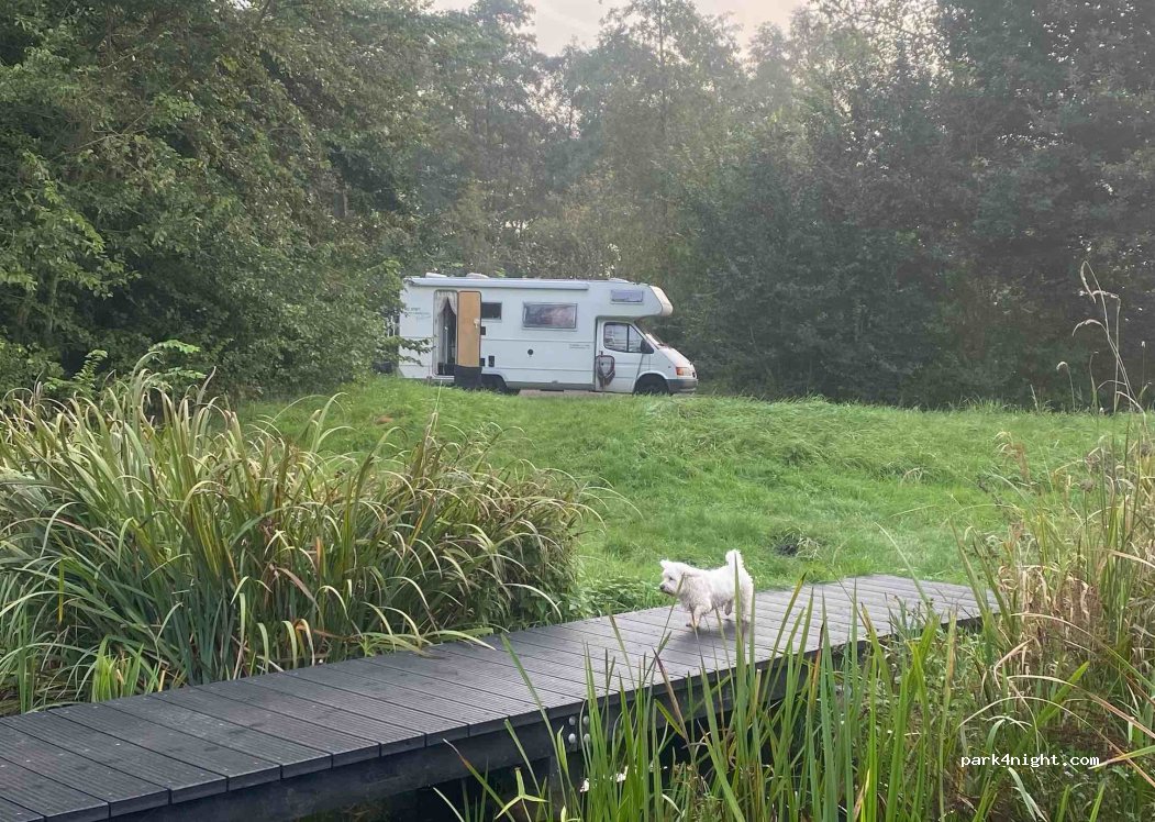 (8478 KA) Sonnega - 9 Sasweg — foto 3