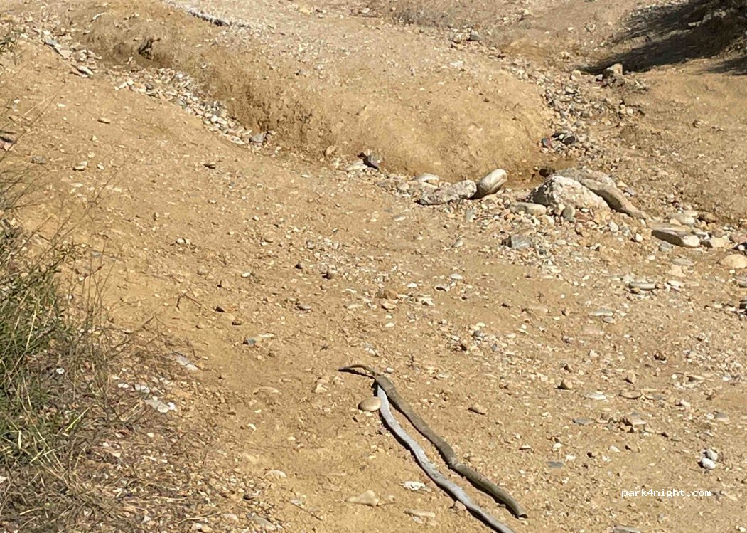 (640 02) Limenaria - Ethniki Odos Thasou Limenarion — foto 3