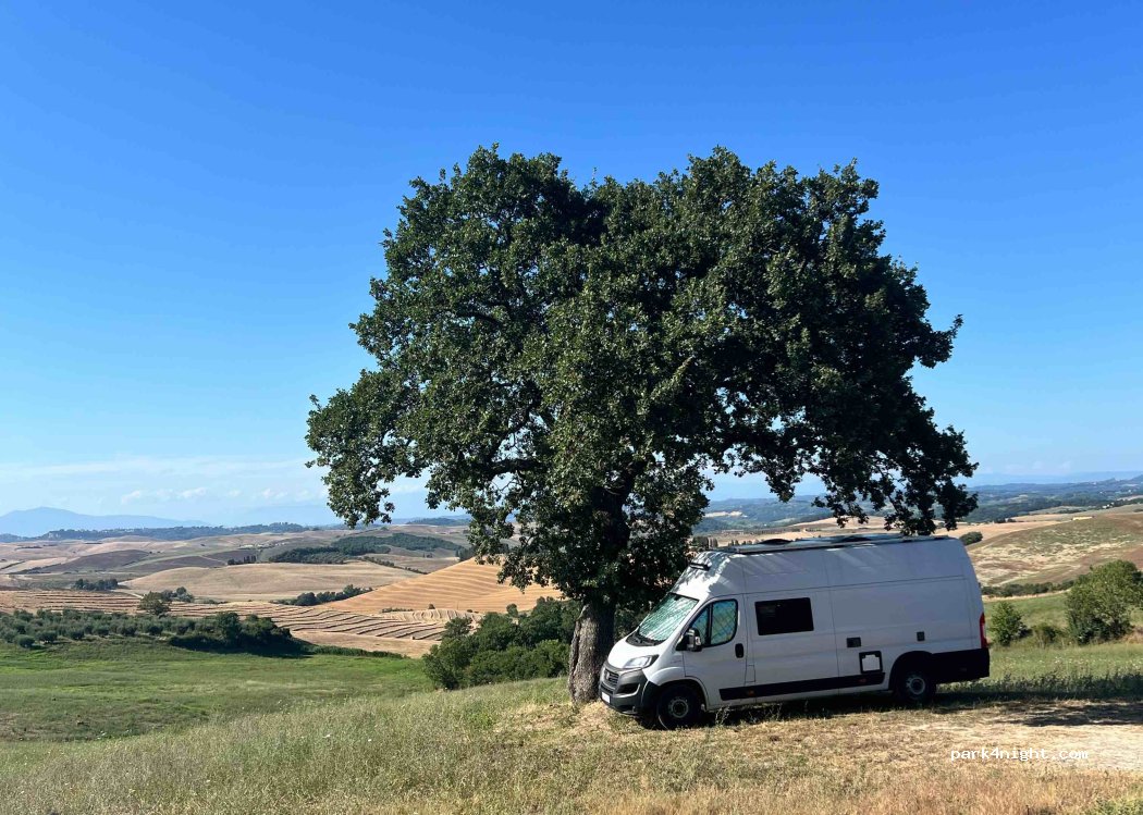 (56030) Lajatico - Unnamed Road — foto 3