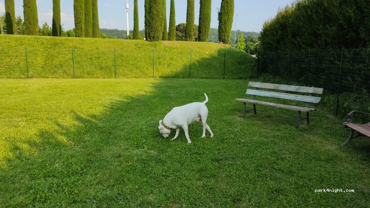 (25050) Provaglio d'Iseo - — foto 4