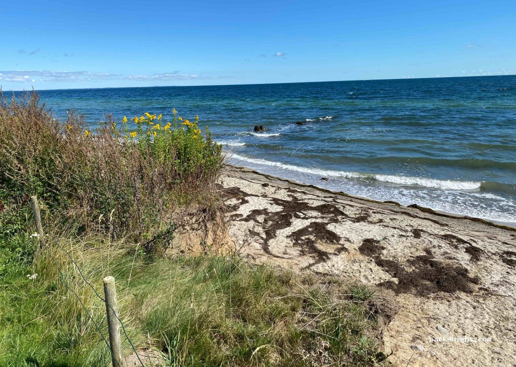 Rosenfelder Strand Ostsee Camping — foto 4