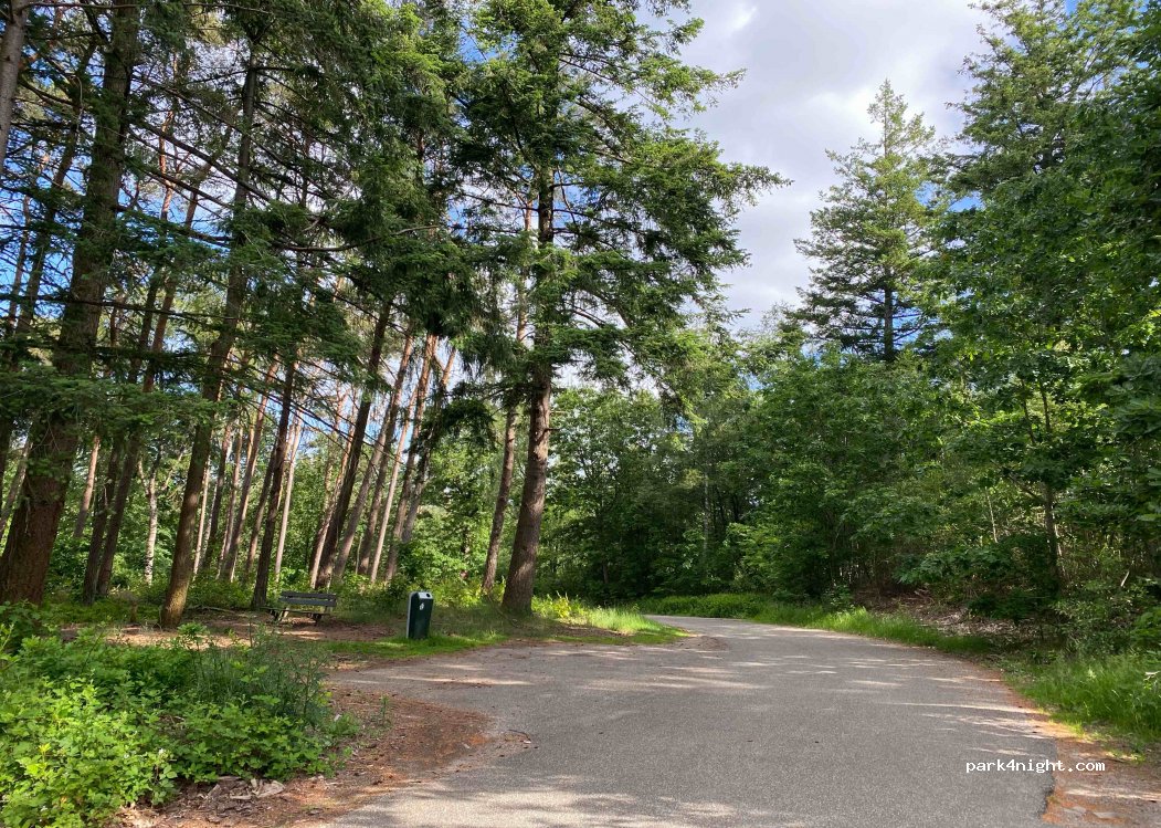 (8051) Hattem - Wapenvelder Molenweg — foto 4