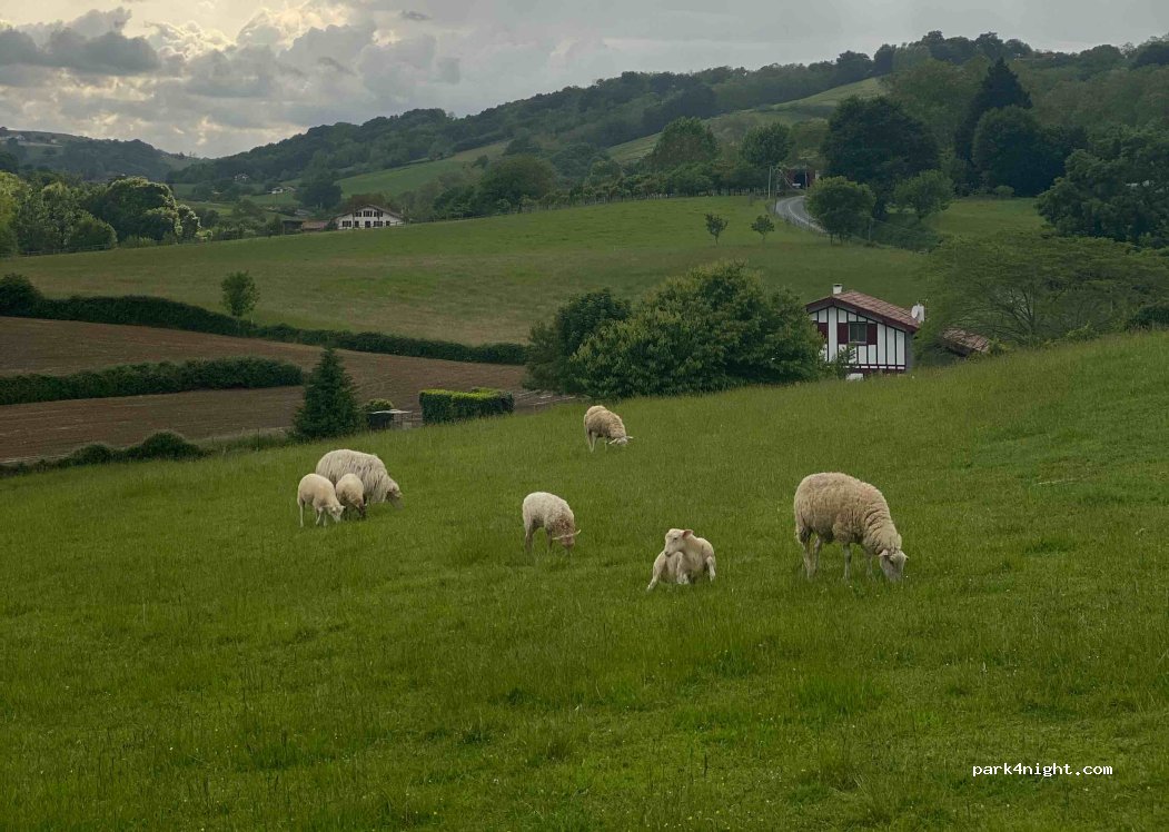 (64250) Itxassou - 125 Route d'Espelette — foto 3