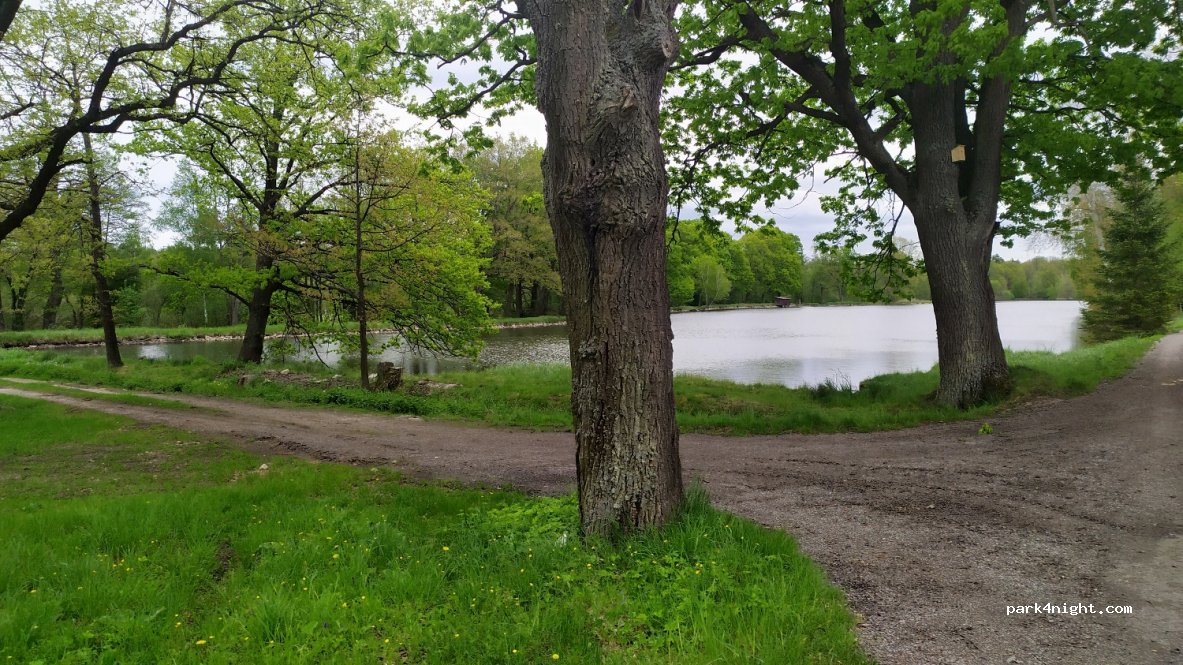 (374 01) Olešnice - Unnamed Road — foto