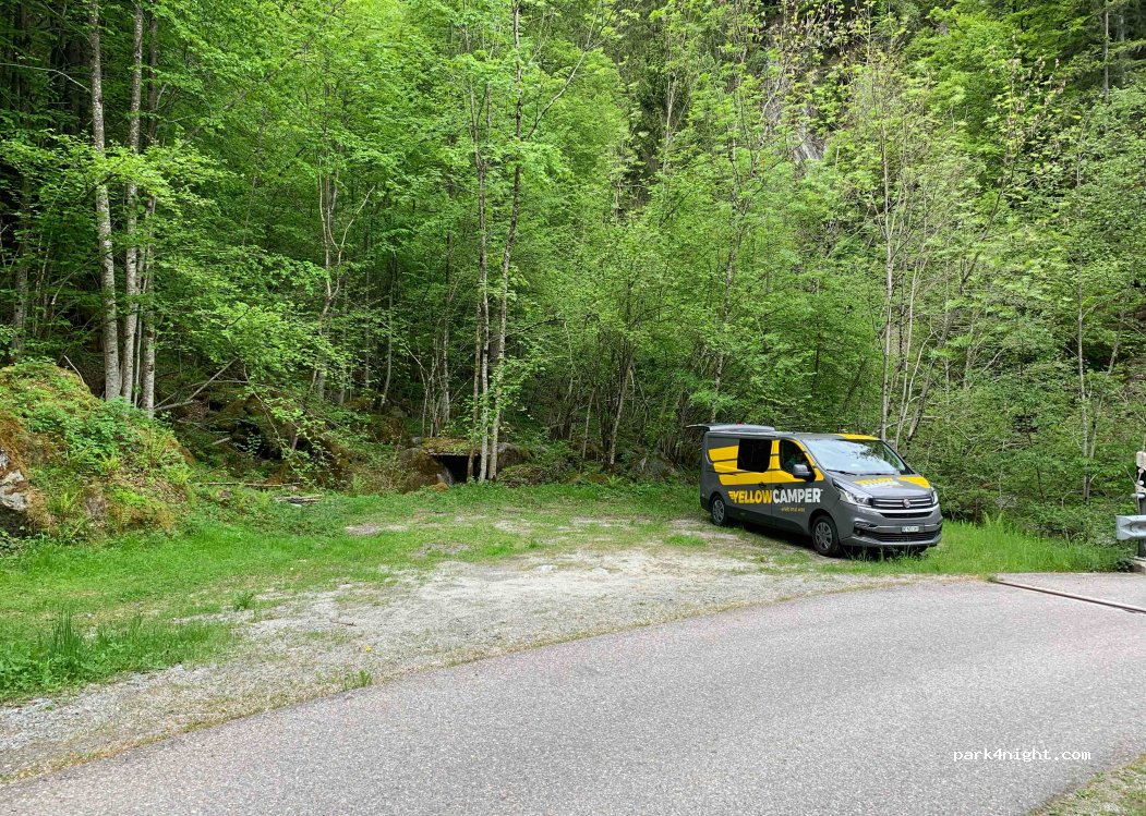 (6657) Palagnedra - 12-4 Bordei — foto