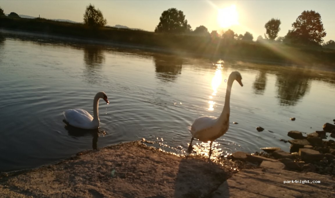 Camping Weserterrassen — foto