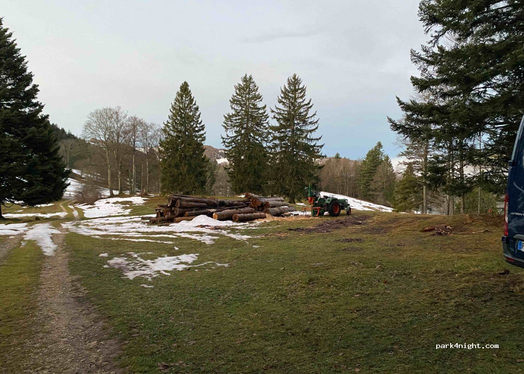 (4717) Mümliswil-Ramiswil - 110 Waldheim — foto 3