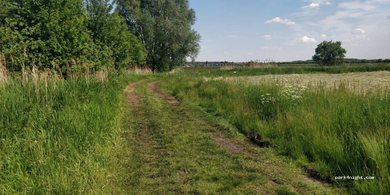 (14550) Groß Kreutz (Havel) - Unnamed Road — foto 3