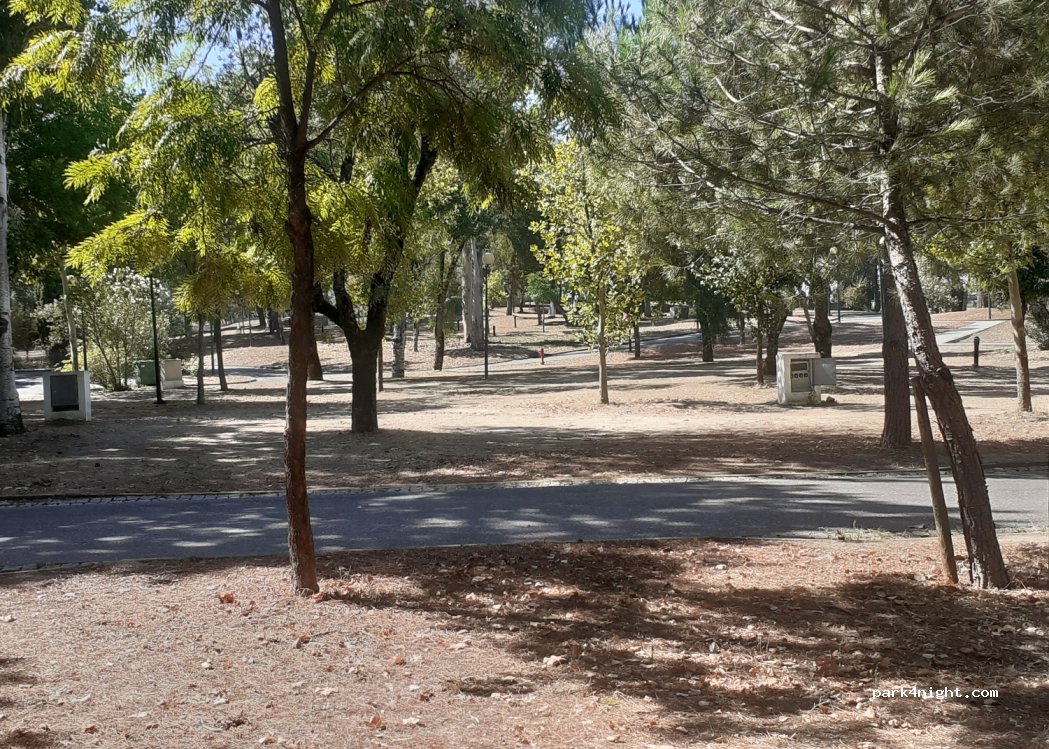 Parque de Campismo Municipal de Castelo Branco — foto 3