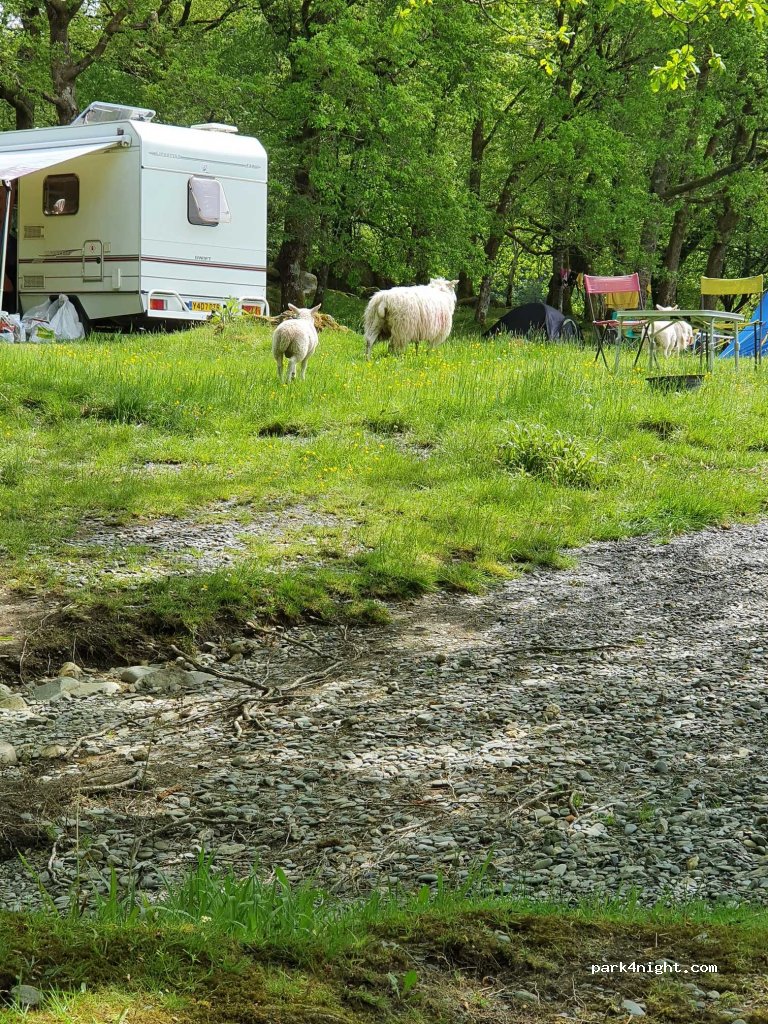 Camp Snowdonia: Tan Aeldroch Farm — foto