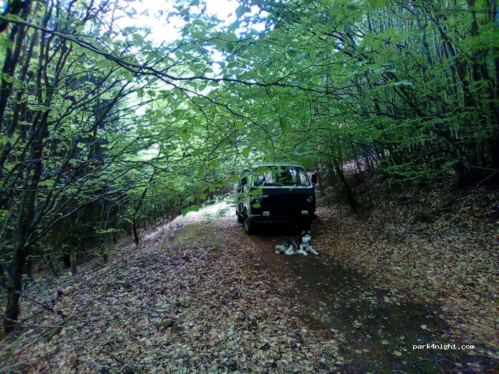 (67290) Erckartswiller - Unnamed Road — foto