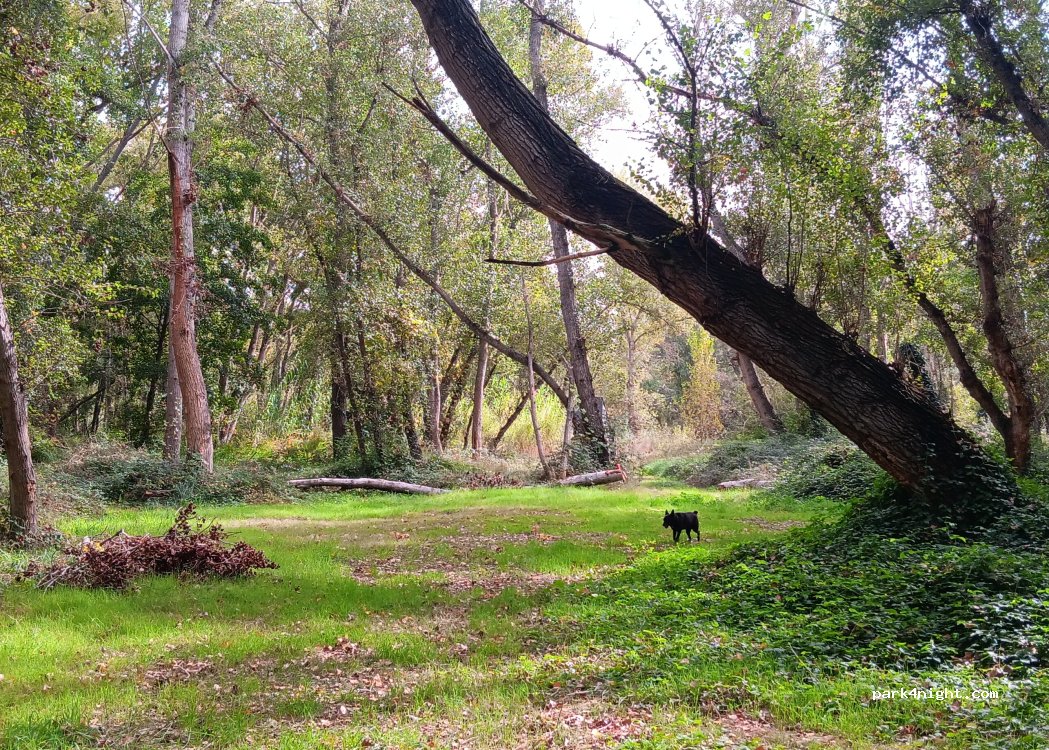(25135) La Portella - Unnamed Road — foto 3