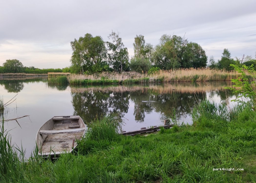 (56-300) Lasowice - — foto 2