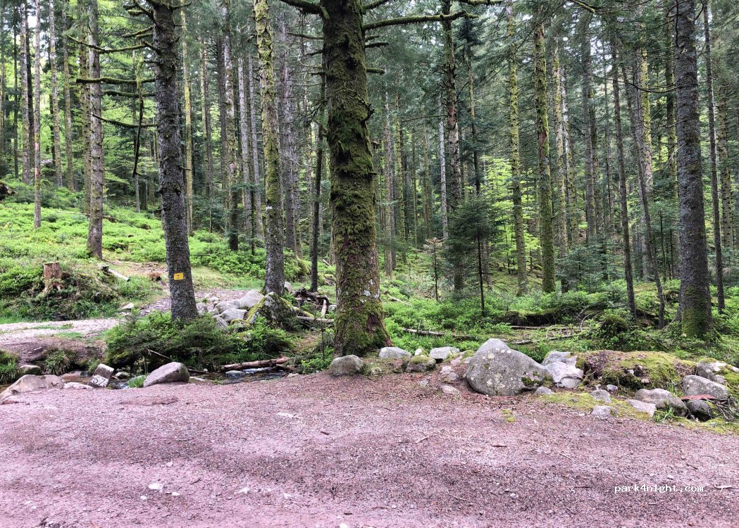(88120) Vagney - 6252 Route du Haut des Charmes — foto