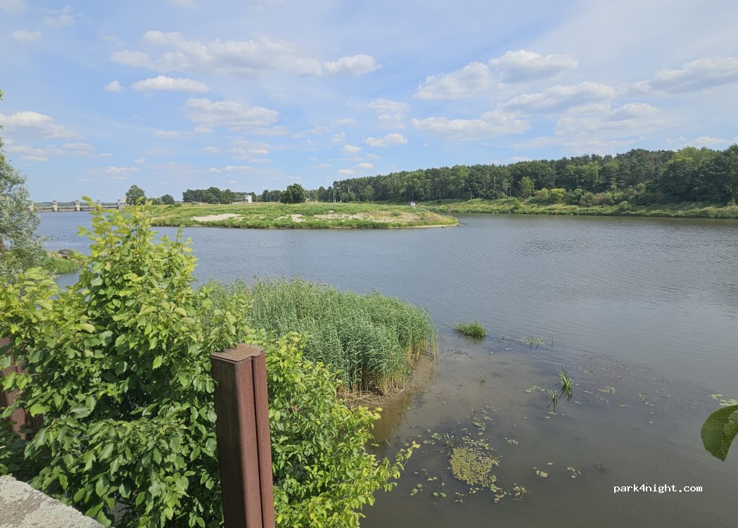 (56-120) Brzeg Dolny - Podwale — foto 3