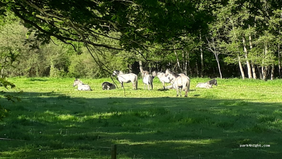 Blauwestadhoeve — foto 3