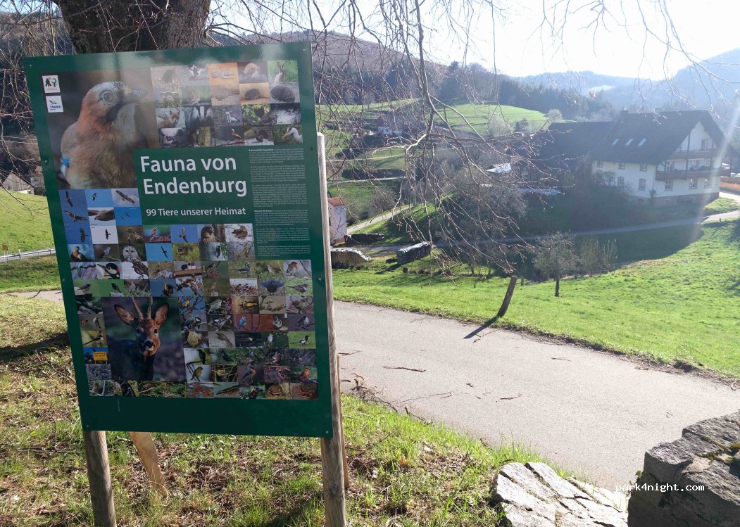 Hotel-Landgasthof Zum Pflug — foto 3