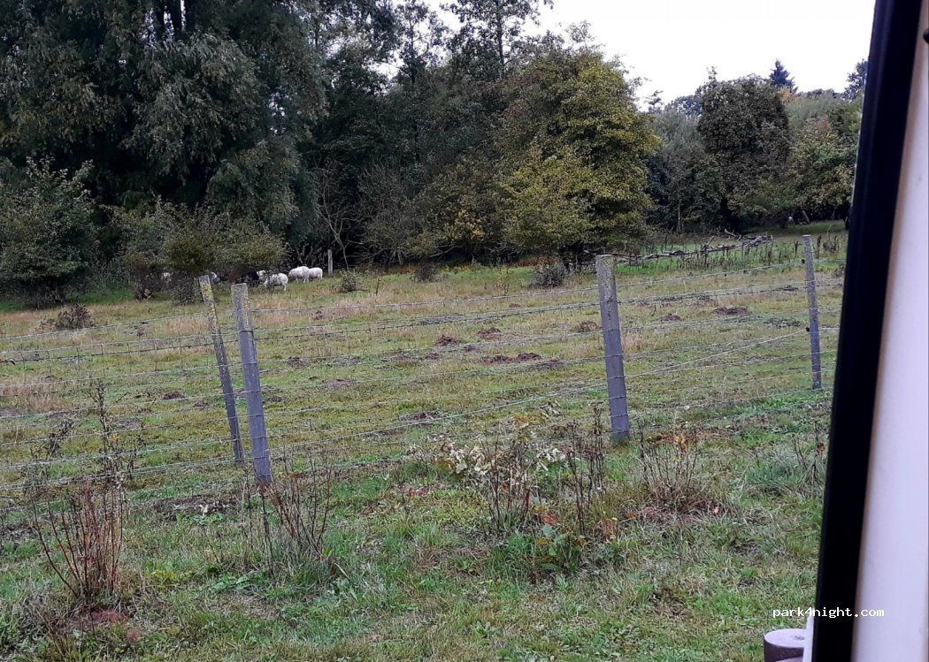 (24211) Preetz - 21 Castöhlenweg — foto 3