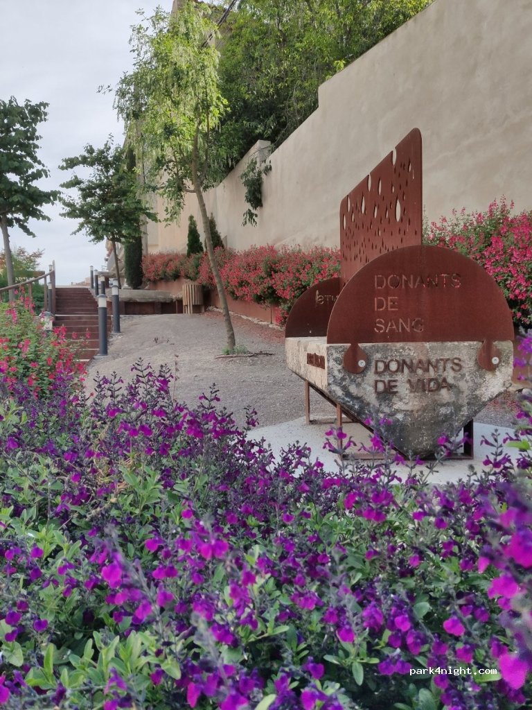 (25320) Anglesola - 8 Carrer Esports — foto 2