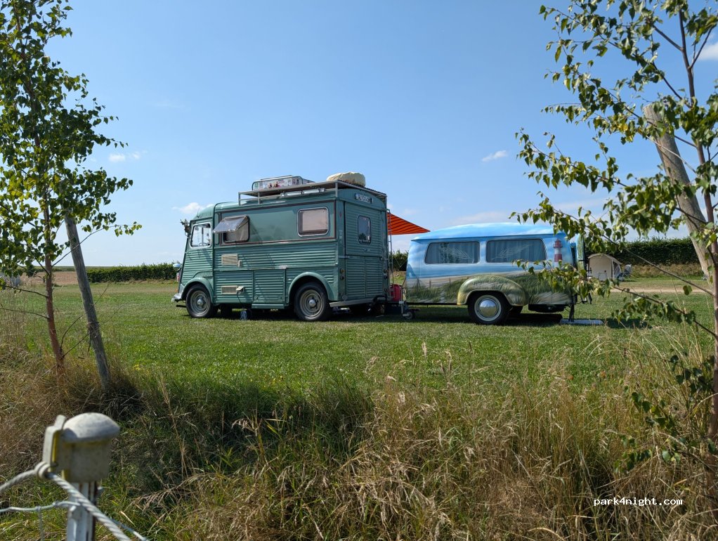 Lamatrekking Maifeld — foto 5