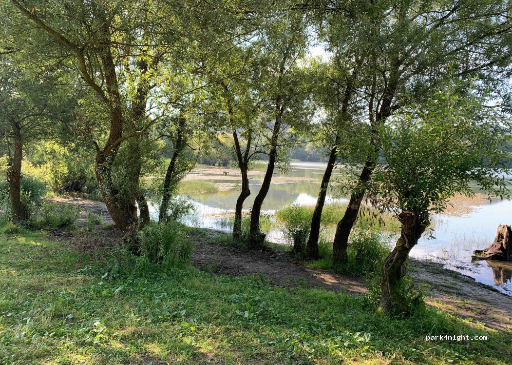 (547536) Bezidu Nou - Unnamed Road — foto 2