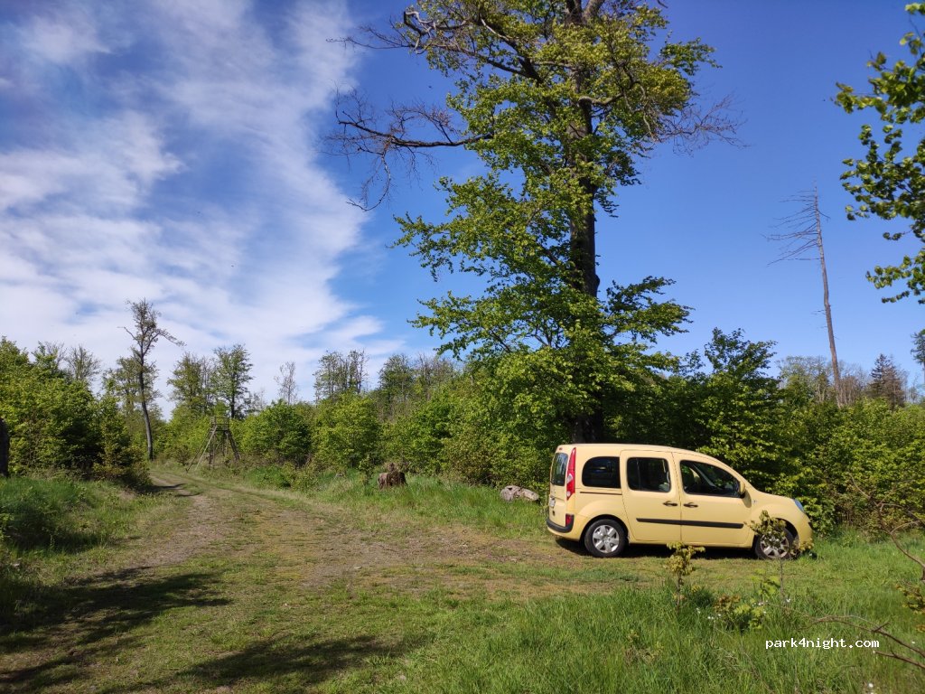 (38889) Elbingerode (Harz) - L96 — foto