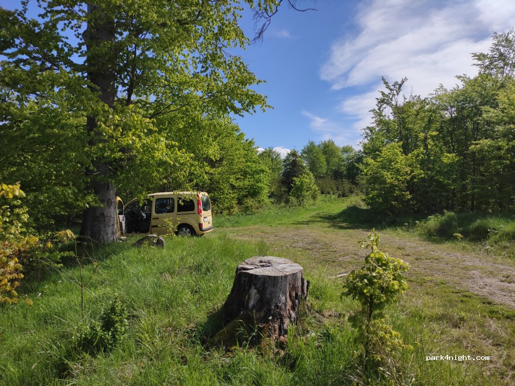 (38889) Elbingerode (Harz) - L96 — foto 2