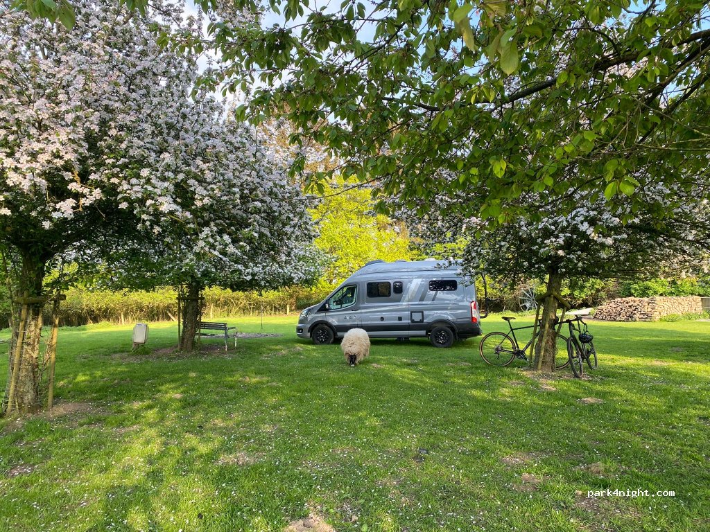 (23669) Timmendorfer Strand - 2 Dorfstraße — foto