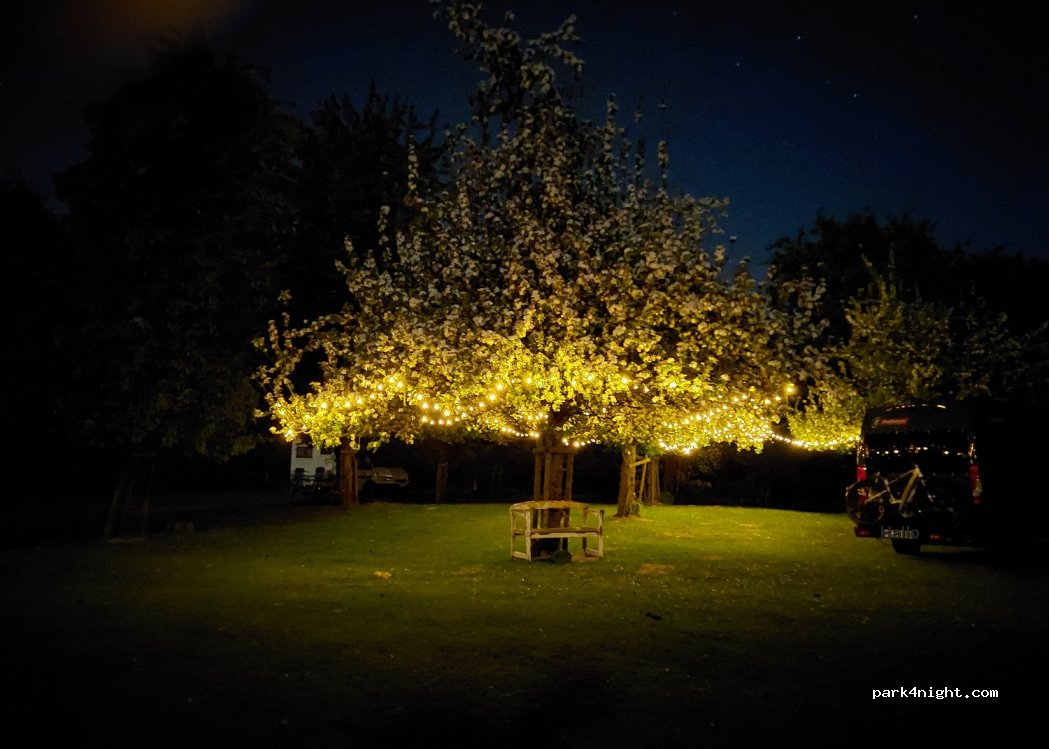 (23669) Timmendorfer Strand - 2 Dorfstraße — foto 3