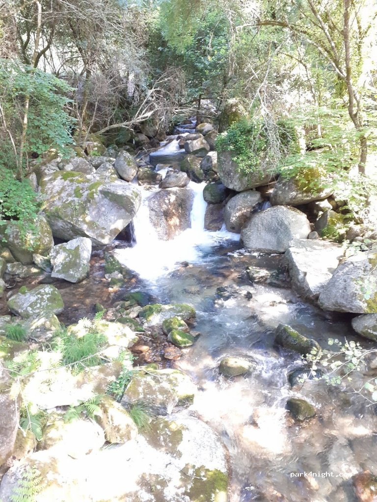 (4845)  - — foto