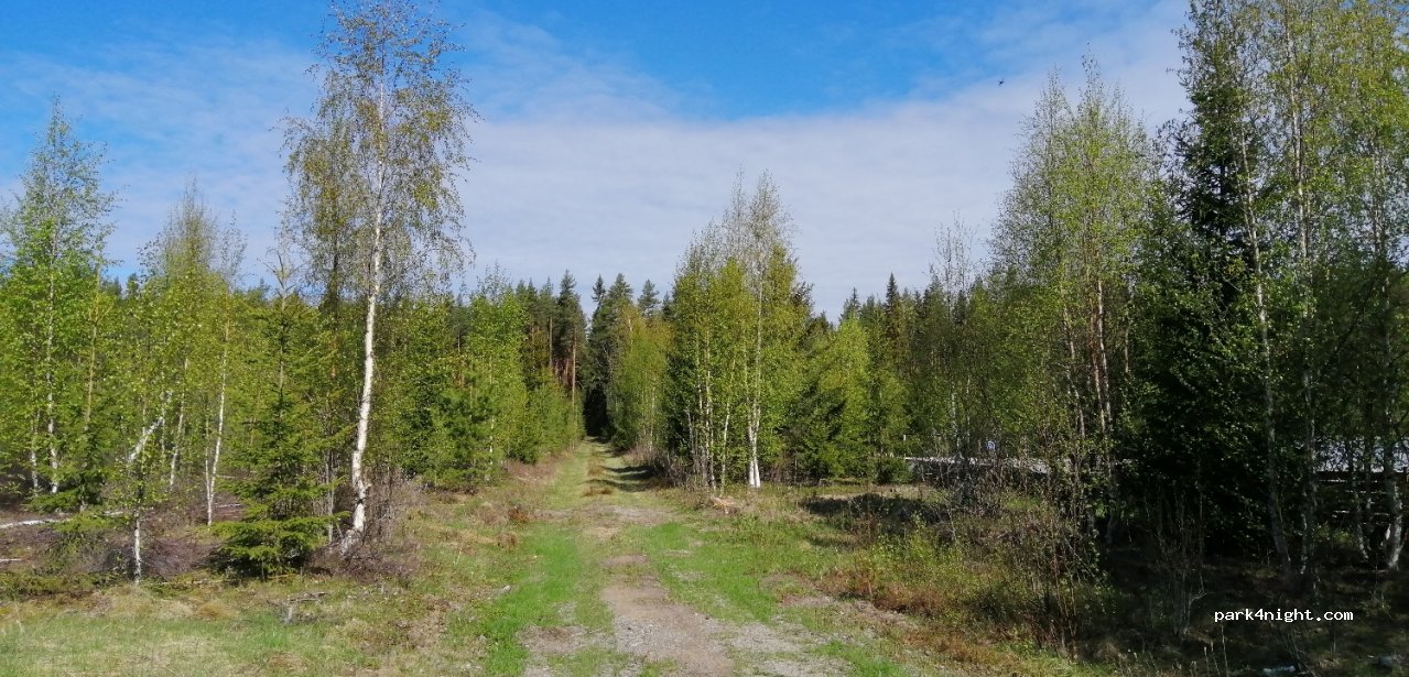 Xanthias lilla Skogskafé — foto 4